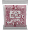 Ernie Ball Eb 2409