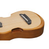 IBANEZ AUP10N-OPN - GUITALELE