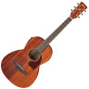 IBANEZ PN12MHE-OPN - GITARA ELEKTROAKUSTYCZNA