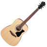 IBANEZ V40-OPN - GITARA AKUSTYCZNA