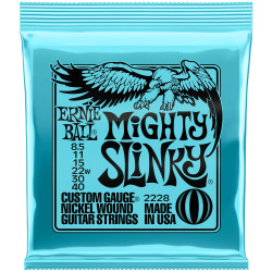 ERNIE BALL 2228 - STRUNY DO...
