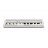 CASIO CT-S1 WE + STATYW