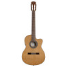 ALVAREZ AC 65 CE (N) - GITARA