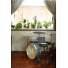 Dixon Little Roomer Cerulean Frost 10/13/20 + 10 Werbel