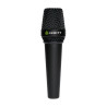Lewitt Mtp W950