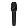 Lewitt Mtp 550 Dms