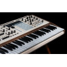ARTURIA POLYBRUTE 12 - SYNTEZATOR