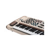 ARTURIA POLYBRUTE 12 - SYNTEZATOR