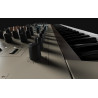 ARTURIA POLYBRUTE 12 - SYNTEZATOR