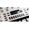 KORG KINGKORG NEO SYNTEZATOR