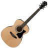 IBANEZ VC50NJP-OPN - GITARA AKUSTYCZNA Z ZESTAWEM AKCESORIÓW