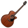 PAKIET - TAKAMINE GN11MCE-NS + REGULACJA GITARY
