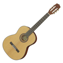 ARIA A-10 (MTN) GITARA...