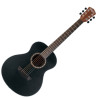 Washburn Agm 5 (Bk) Gitara Akustyczna