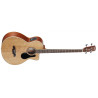 Alvarez Ab 60 Ce (N) Gitara Elektroakustyczna