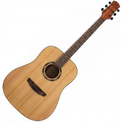 FLIGHT D-130 NA - GITARA...