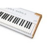 Arturia Astrolab 88