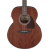 IBANEZ AJ54E-OPN - GITARA ELEKTROAKUSTYCZNA
