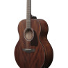 IBANEZ AJ54E-OPN - GITARA ELEKTROAKUSTYCZNA