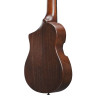 IBANEZ AUP10N-OLB - GUITALELE