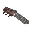 IBANEZ AUP10N-OLB - GUITALELE