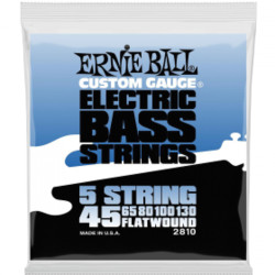 Ernie Ball Eb 2810 Komplet Strun Do Gitary Basowej