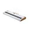 ARTURIA ASTROLAB 88 - STAGE PIANO