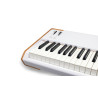 ARTURIA ASTROLAB 88 - STAGE PIANO