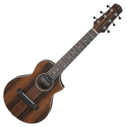 IBANEZ EWP13 DBO - GITARA...