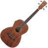 IBANEZ PNB14E-OPN - BAS ELEKTROAKUSTYCZNY