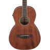 IBANEZ PNB14E-OPN - BAS ELEKTROAKUSTYCZNY