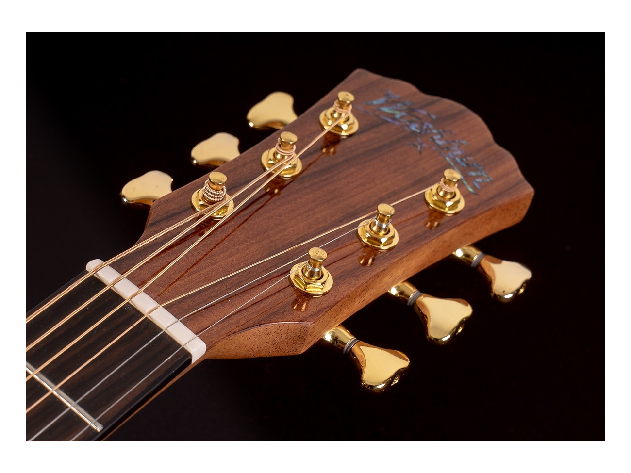 Washburn Bts 24 S (N) Gitara Akustyczna