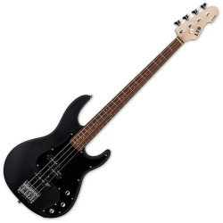 LTD AP-204 BLKS - GITARA...