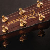 TAKAMINE LTD2025 - LIMITOWANA GITARA ELEKTROAKUSTYCZNA