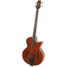 TAKAMINE DB10 - JAPOŃSKA GITARA BASOWA FRETLESS