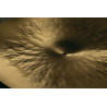 SABIAN HHX ANTHOLOGY 22" HIGH BELL - RIDE 22 CALE