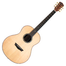 WASHBURN BTS 24 S (N) -...