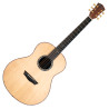 WASHBURN BTS 24 S (N) - GITARA AKUSTYCZNA