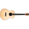 WASHBURN BTS 24 S (N) - GITARA AKUSTYCZNA