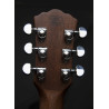 Washburn Wcg 20 Sce (N) Gitara Elektroakustyczna