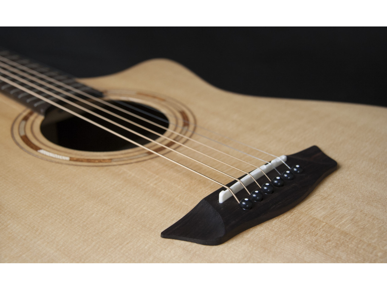 Washburn Wcg 20 Sce (N) Gitara Elektroakustyczna