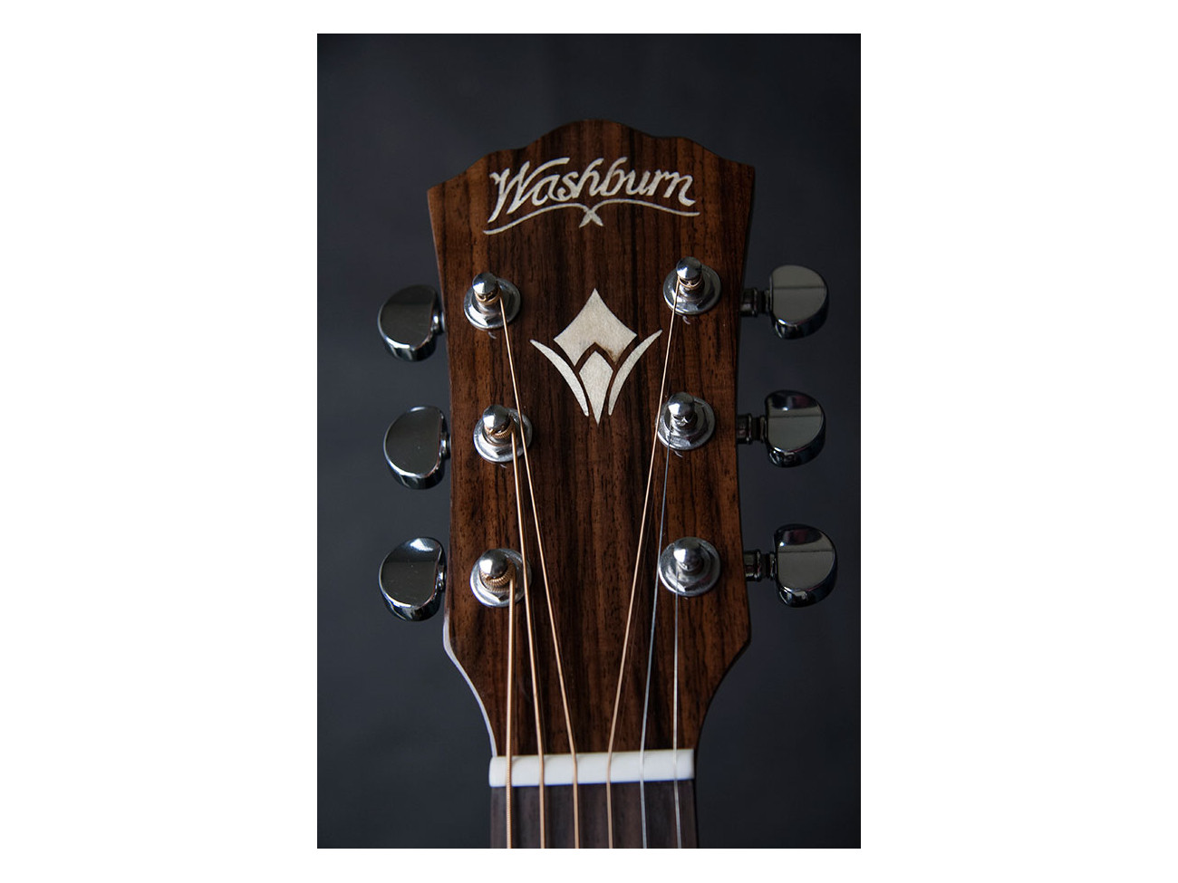 Washburn Wcg 20 Sce (N) Gitara Elektroakustyczna