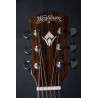 Washburn Wcg 20 Sce (N) Gitara Elektroakustyczna