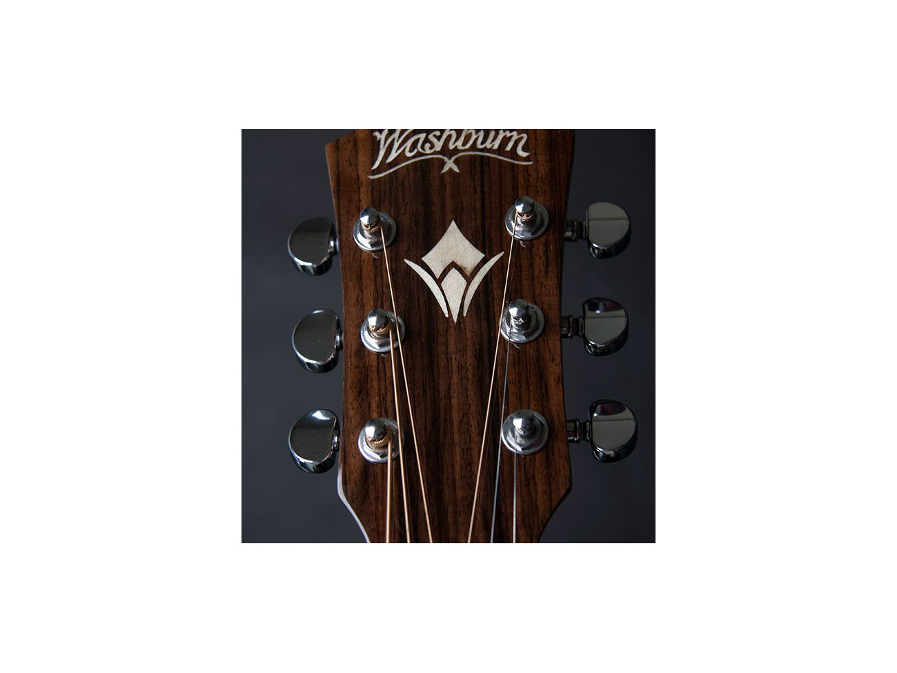 Washburn Wcg 20 Sce (N) Gitara Elektroakustyczna