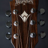 Washburn Wcg 20 Sce (N) Gitara Elektroakustyczna