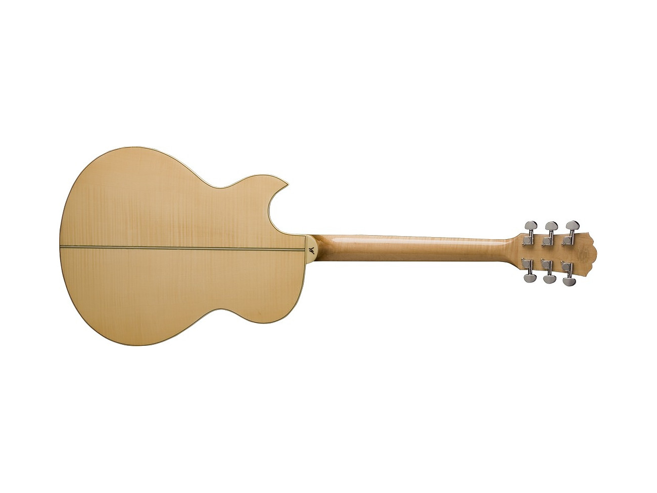 Washburn Ea 20 (N) Gitara Elektroakustyczna
