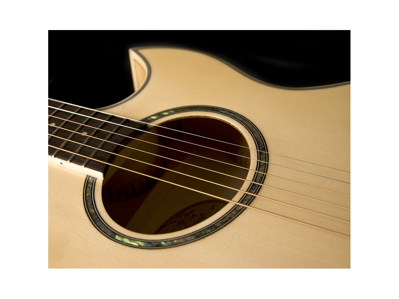 Washburn Ea 20 (N) Gitara Elektroakustyczna