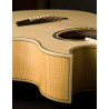 Washburn Ea 20 (N) Gitara Elektroakustyczna