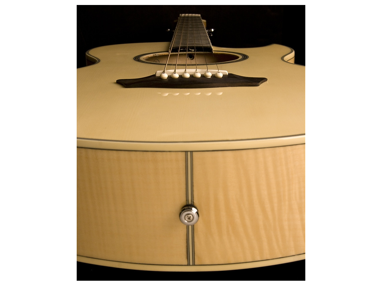 Washburn Ea 20 (N) Gitara Elektroakustyczna