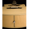 Washburn Ea 20 (N) Gitara Elektroakustyczna